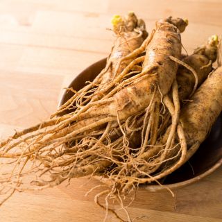 Ginseng coreano